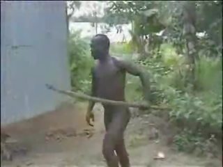 Exceptional e ndyrë i gjallë i vështirë afrikane xhungël qirje!